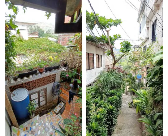 Ruelles de San Antonio