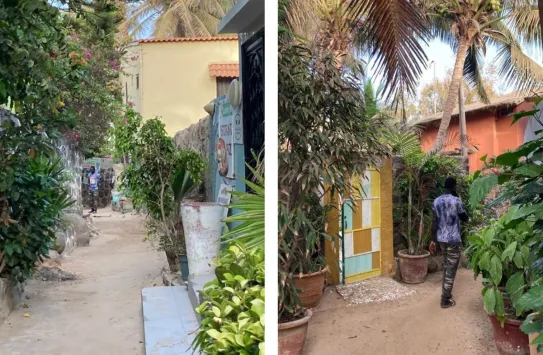 Ruelles végétalisées